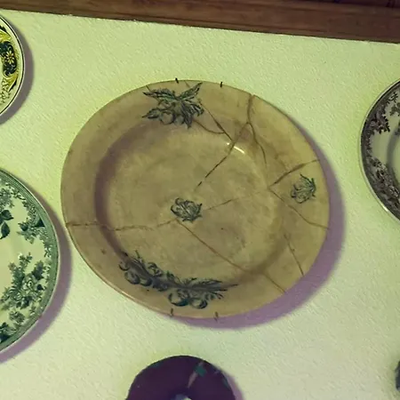 Casa Museu Nuno Miguel Henriques 度假居 Salgueiro (Castelo Branco)