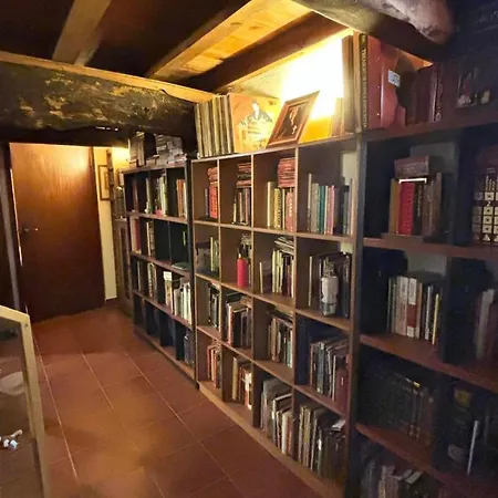 度假居 Casa Museu Nuno Miguel Henriques *