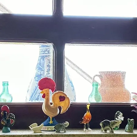 Casa Museu Nuno Miguel Henriques Salgueiro (Castelo Branco)