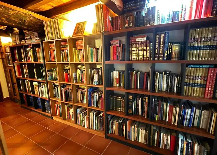 Casa Museu Nuno Miguel Henriques 別荘 *