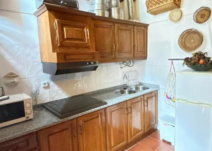 Casa Museu Nuno Miguel Henriques * Salgueiro