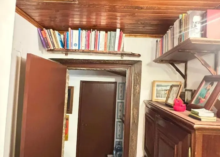 Casa Museu Nuno Miguel Henriques 別荘 Salgueiro