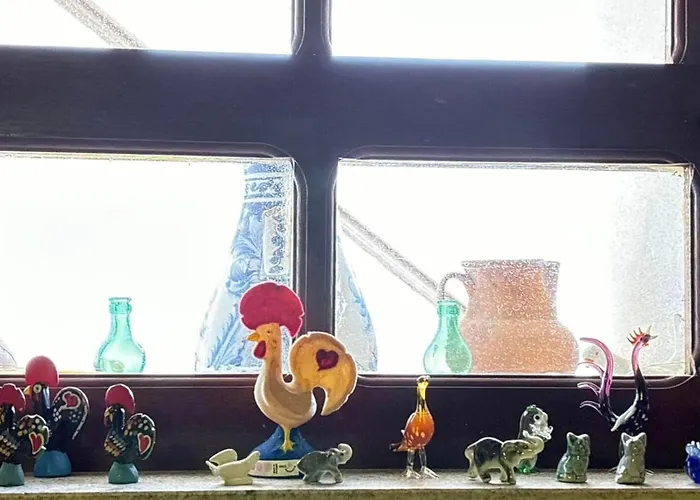 Casa Museu Nuno Miguel Henriques Salgueiro