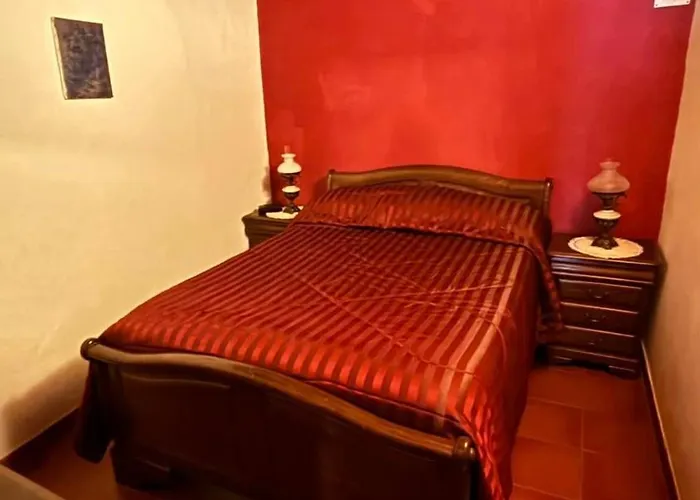 Casa Museu Nuno Miguel Henriques 別荘 Salgueiro